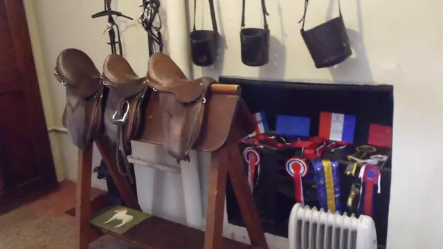 Genrebild: ridskolor och ridsport för barn