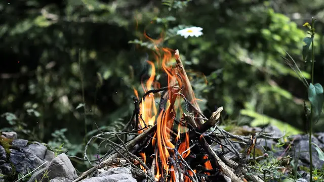 Genrebild: scouting för barn